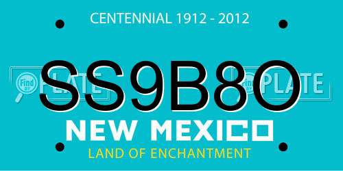 SS9B8O New Mexico License Plate