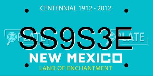 SS9S3E New Mexico License Plate