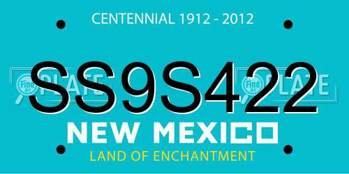 SS9S422 New Mexico License Plate
