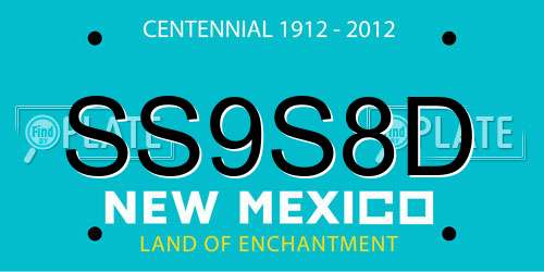 SS9S8D New Mexico License Plate