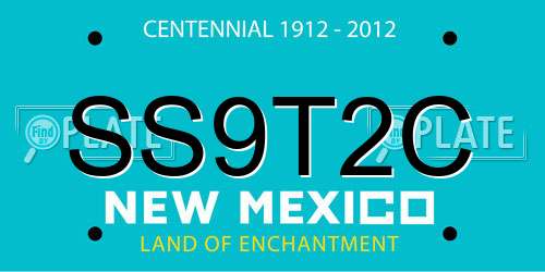 SS9T2C New Mexico License Plate