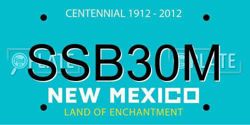 SSB30M New Mexico License Plate