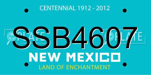 SSB4607 New Mexico License Plate