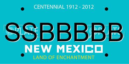 SSBBBBB New Mexico License Plate