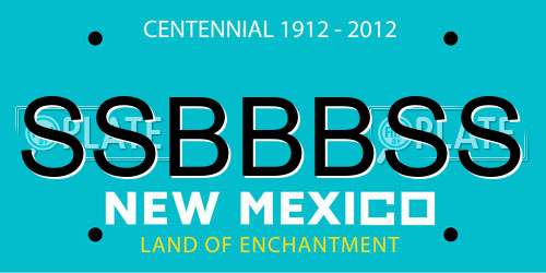 SSBBBSS New Mexico License Plate