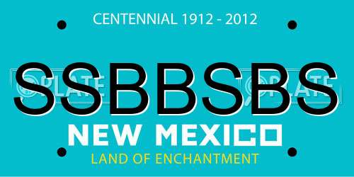 SSBBSBS New Mexico License Plate