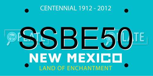 SSBE50 New Mexico License Plate
