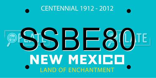 SSBE80 New Mexico License Plate