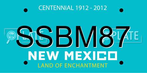 SSBM87 New Mexico License Plate