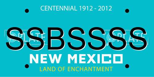 SSBSSSS New Mexico License Plate