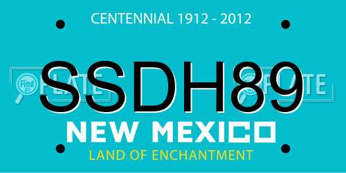 SSDH89 New Mexico License Plate
