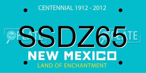 SSDZ65 New Mexico License Plate