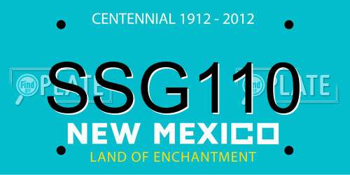 SSG110 New Mexico License Plate
