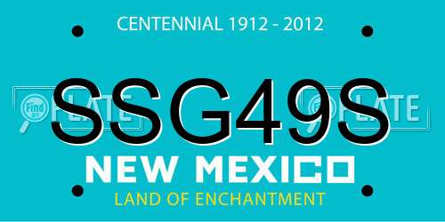 SSG49S New Mexico License Plate