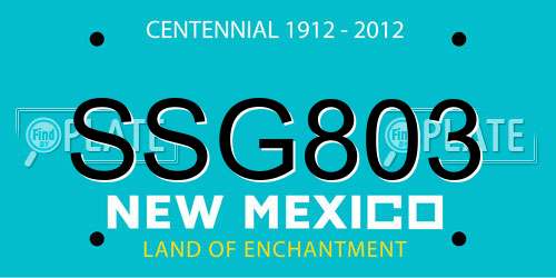 SSG803 New Mexico License Plate