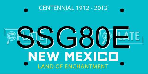 SSG80E New Mexico License Plate