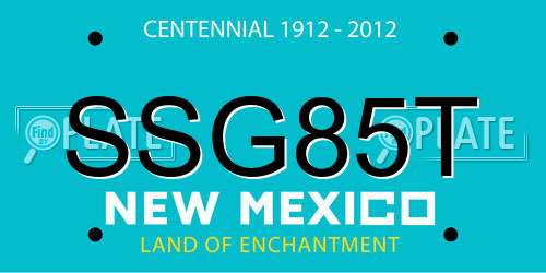 SSG85T New Mexico License Plate