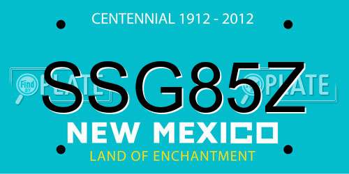 SSG85Z New Mexico License Plate
