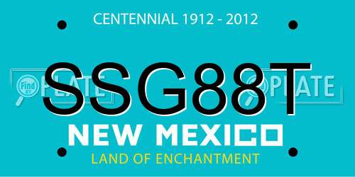 SSG88T New Mexico License Plate