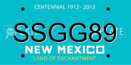 SSGG89 New Mexico License Plate