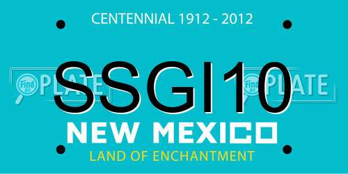 SSGI10 New Mexico License Plate