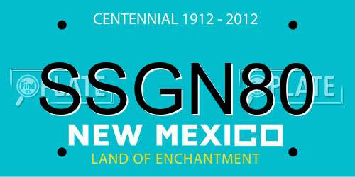 SSGN80 New Mexico License Plate