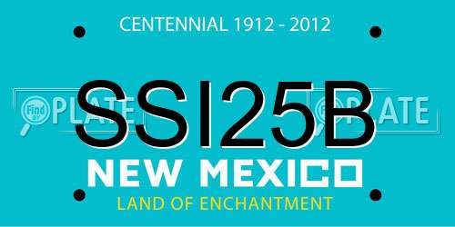 SSI25B New Mexico License Plate