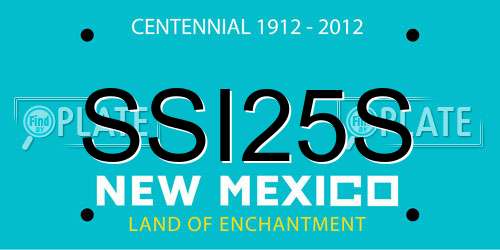 SSI25S New Mexico License Plate