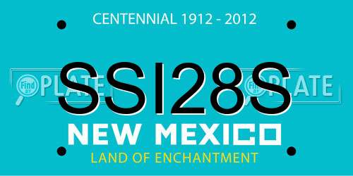 SSI28S New Mexico License Plate