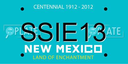 SSIE13 New Mexico License Plate