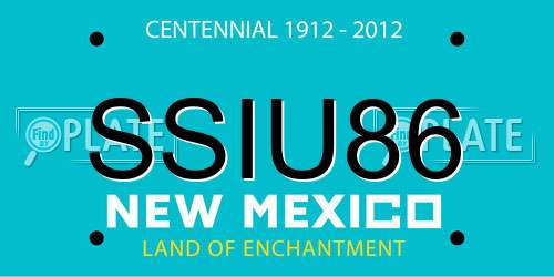 SSIU86 New Mexico License Plate