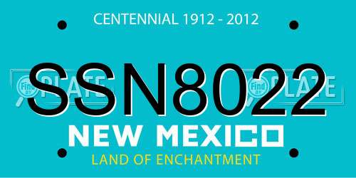 SSN8022 New Mexico License Plate