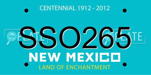 SSO265 New Mexico License Plate