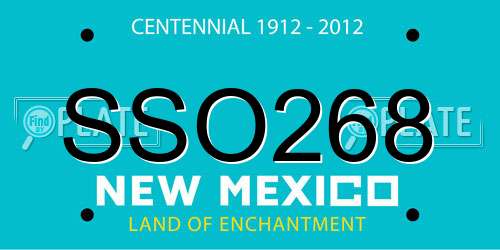 SSO268 New Mexico License Plate