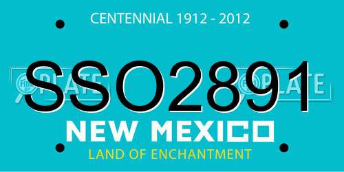 SSO2891 New Mexico License Plate