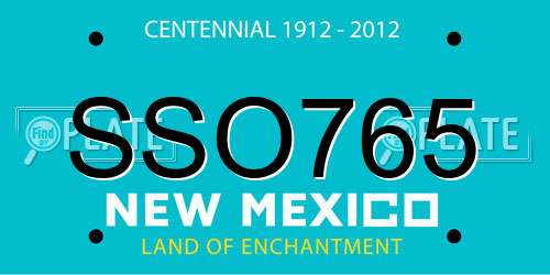 SSO765 New Mexico License Plate