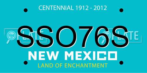 SSO76S New Mexico License Plate
