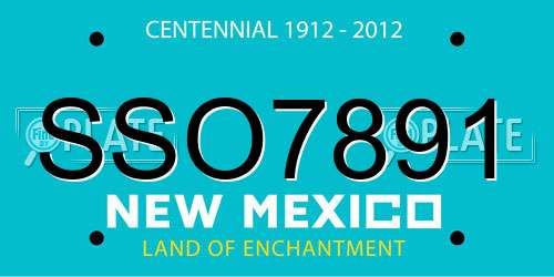 SSO7891 New Mexico License Plate