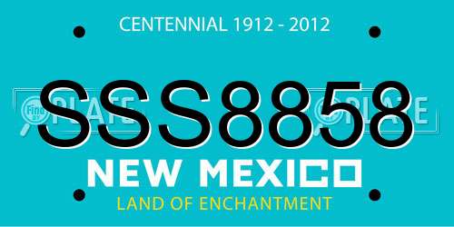 SSS8858 New Mexico License Plate
