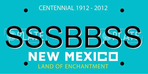 SSSBBSS New Mexico License Plate