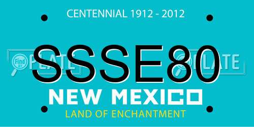 SSSE80 New Mexico License Plate