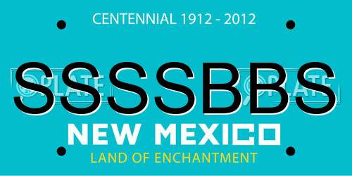 SSSSBBS New Mexico License Plate