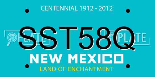 SST58Q New Mexico License Plate