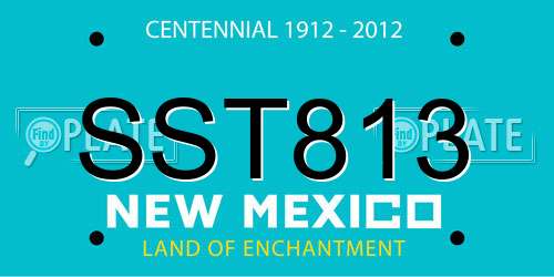 SST813 New Mexico License Plate