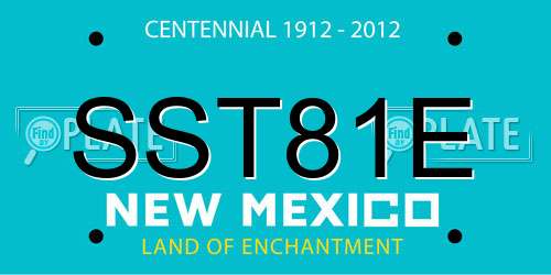 SST81E New Mexico License Plate