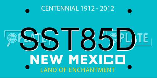 SST85D New Mexico License Plate