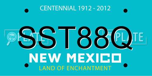 SST88Q New Mexico License Plate