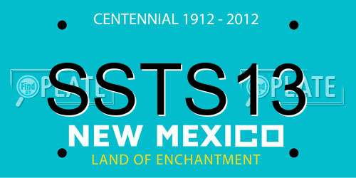 SSTS13 New Mexico License Plate