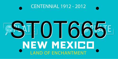 ST0T665 New Mexico License Plate
