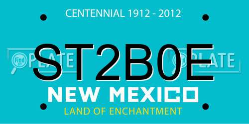 ST2B0E New Mexico License Plate